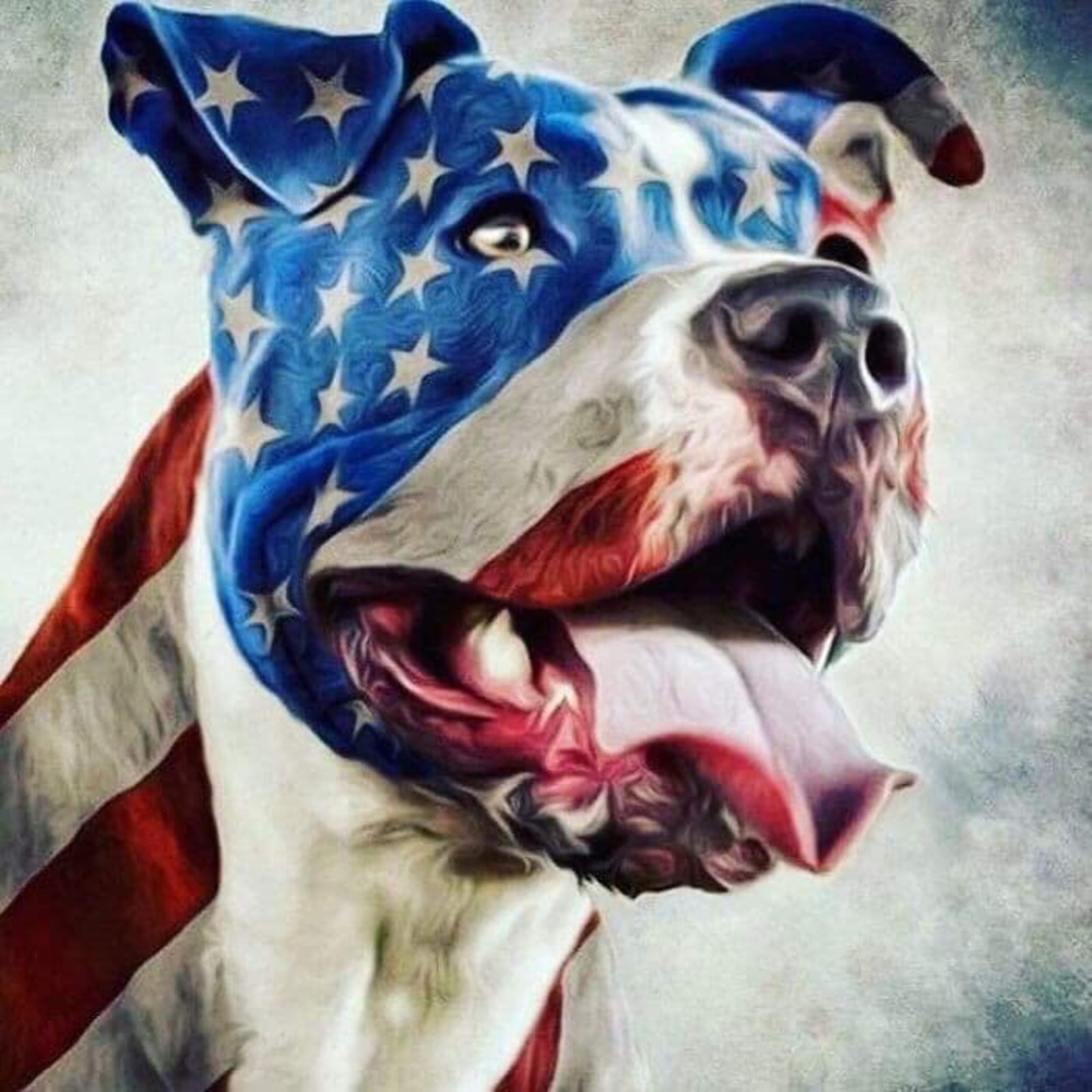 Meet your Posher, Lynne